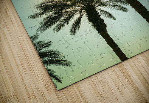 Tall Palms Assaf Frank puzzle
