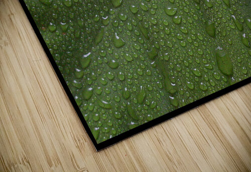 Peace Lily Tears LifeIsFuller puzzle