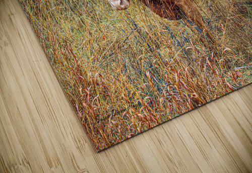 Twisted Sister Susan Diann Photography puzzle