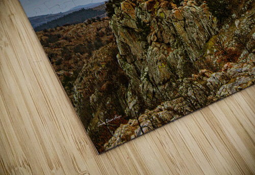The Pheonix  Susan Diann Photography puzzle