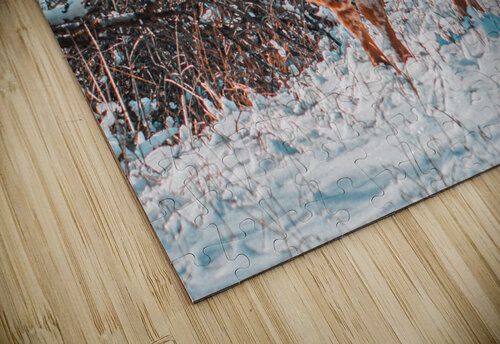 Bullseye In Snow Susan Diann Photography puzzle