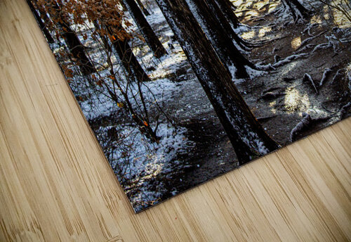 A Dusting Of Snow Susan Diann Photography puzzle