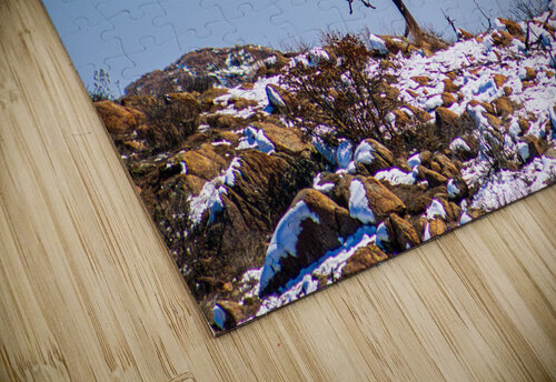 Pheonix In the Snow Susan Diann Photography puzzle