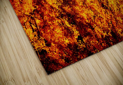 Forest Fire Ell Cee puzzle