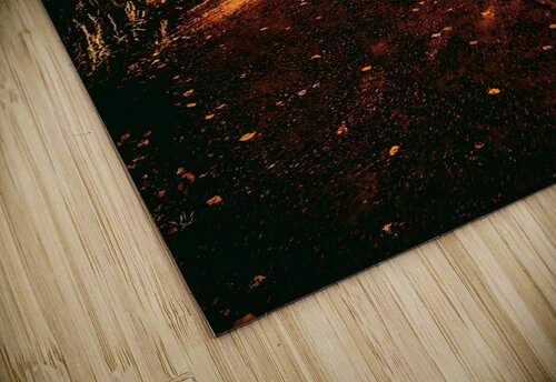 Pumpkin Path Ell Cee puzzle