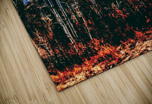 The Secret Forest Ell Cee puzzle