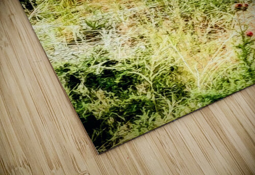 Dandelion Deer Ell Cee puzzle