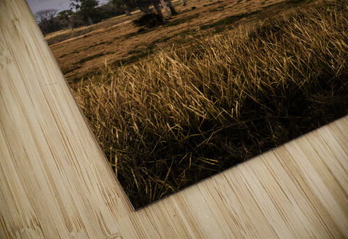 Old Georgia Plantation Norma Brandsberg Photography puzzle