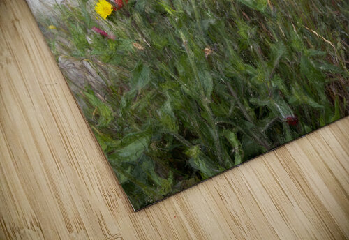 Normandy France Poppy Field Norma Brandsberg Photography puzzle