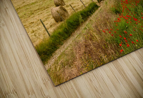 Normandy France Etretat Lighthouse Norma Brandsberg Photography puzzle
