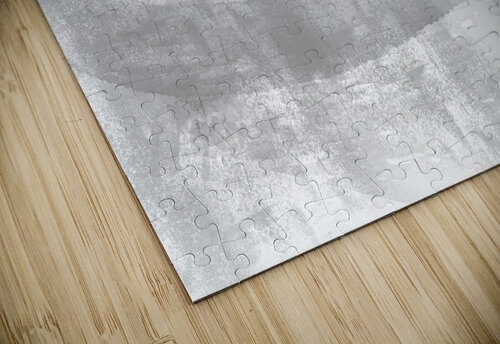 Grey  Loops Abstract II Iris H Richardson puzzle