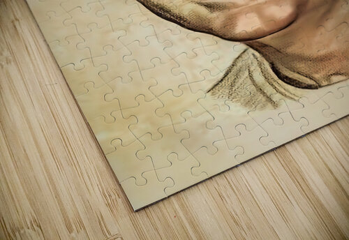 darrell royal art texas football coach Row One Brand puzzle