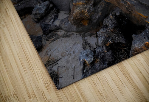 Washington Gardens Cochina  Sunset Norma Brandsberg Photography puzzle