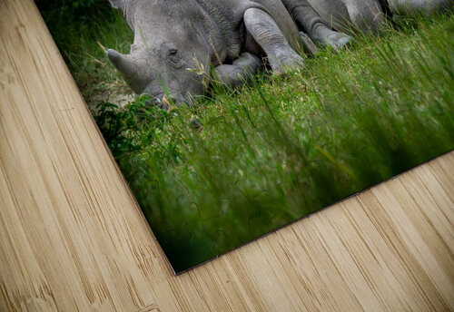 African Siesta Nate Solo puzzle