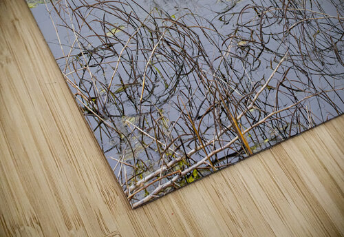 Winter Pond Textures Norma Brandsberg Photography puzzle