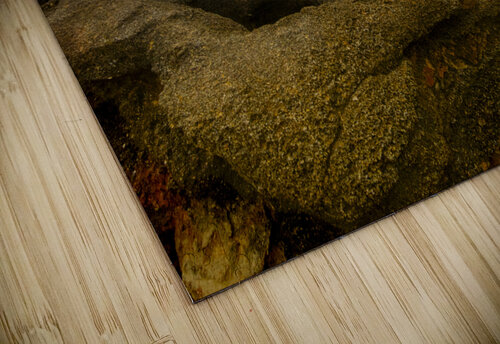 Palm Coast Ocean  Cairns Norma Brandsberg Photography puzzle