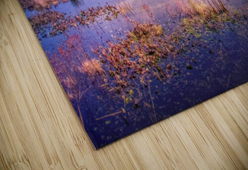 South Carolina Lowland Marsh Norma Brandsberg Photography puzzle