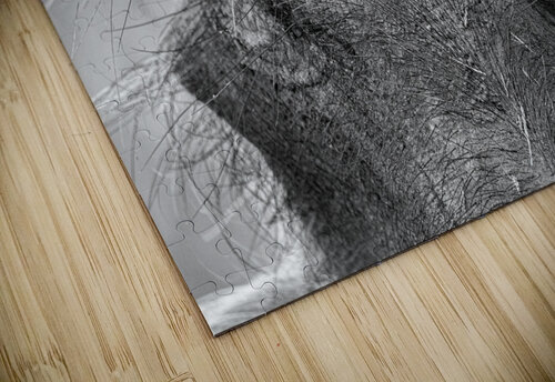 Im Sexy and I Know It Nate Solo puzzle