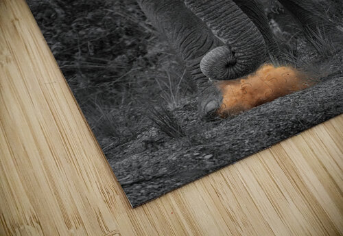 Musthve Been Nate Solo puzzle