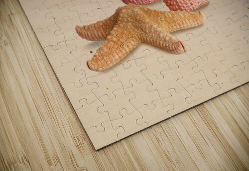 Memories of Summer Gill Billington puzzle