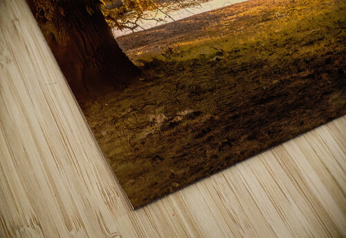 Sunrise Through the Trees 1 Norma Brandsberg Photography puzzle