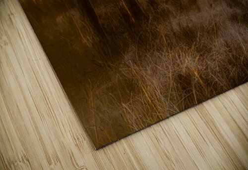 The Forest Glow at Sunset Norma Brandsberg Photography puzzle