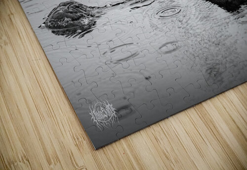 Whos the Real Villian Nate Solo puzzle