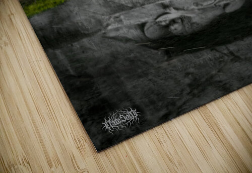 Lion of Lucerne Nate Solo puzzle