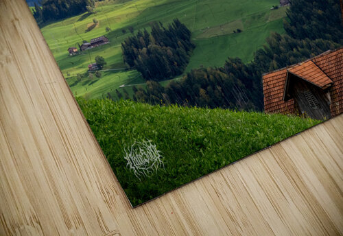 Rollin Rollin Rollin Rollin Nate Solo puzzle