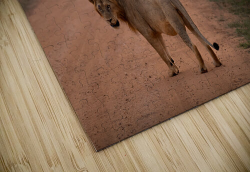 Stray Cat Strut Nate Solo puzzle