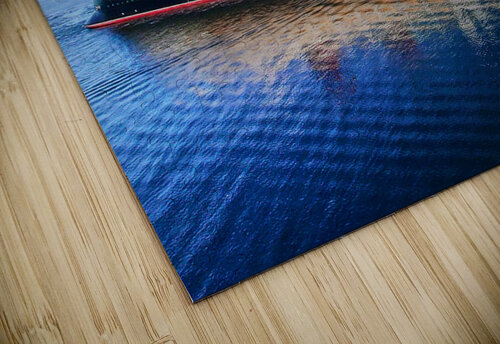 Disney Wonder In San Diego Ryan Cameron puzzle