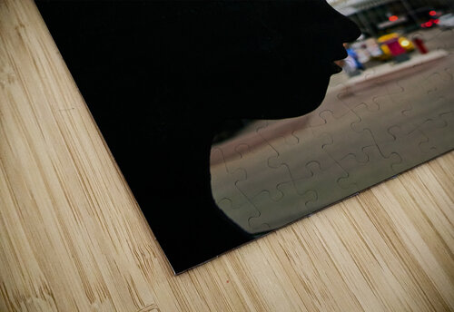 Old West Meets New West Ryan Cameron puzzle