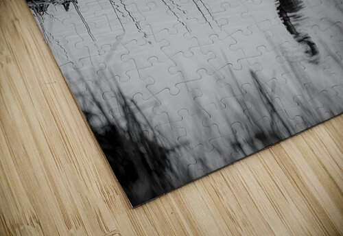 BZ9 3925 Enhanced NR Susan Lynn Cooke puzzle