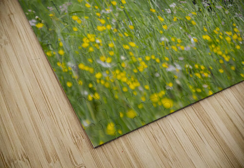 Dolomite Happy Cow Norma Brandsberg Photography puzzle