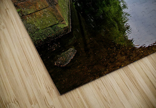 Dartmoor Through The Bridge Gill Billington puzzle