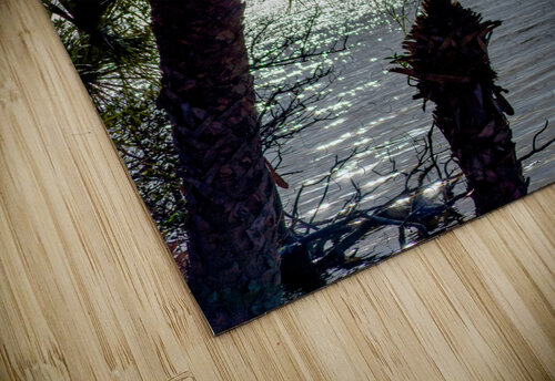 Two Palm Trees Evening Silhouette Jennifer White puzzle