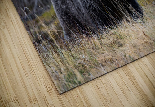 One Huge Momma  Kevin Smith puzzle