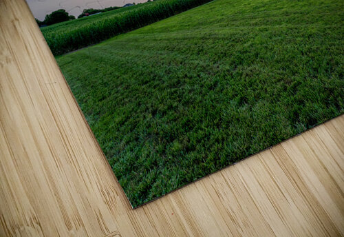 Oak Tree Farm Sunset Jennifer White puzzle