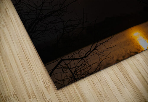 BZ9 5224 Enhanced NR Susan Lynn Cooke puzzle