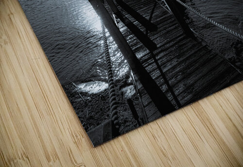 01242023 misc 2 Enhanced NR Susan Lynn Cooke puzzle