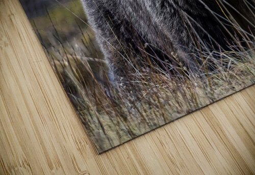 Powerhouse Momma Kevin Smith puzzle