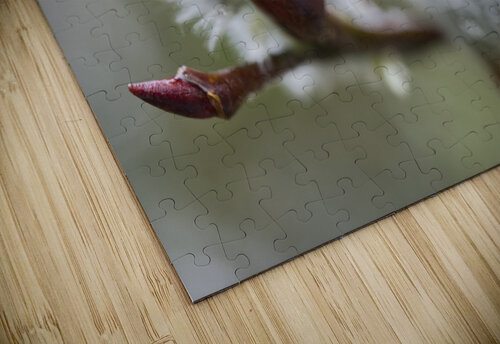 Pussy Willow Branch With Raindrops Iris H Richardson puzzle