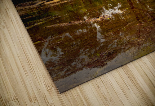 Yosemite Winter Tree Reflections Norma Brandsberg Photography puzzle