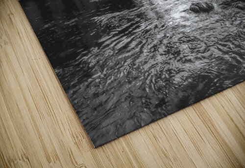 Yosemite Merced River Valley View in Black and White. Norma Brandsberg Photography puzzle