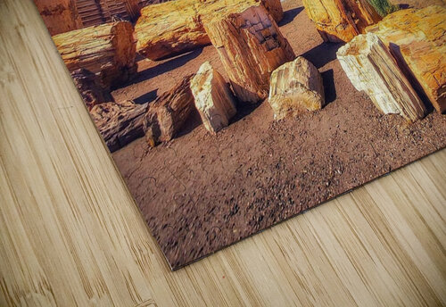 Rd 66 Annie St Pierre Photographie Artiste Photogaphe puzzle