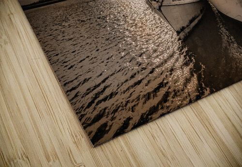 Luck Chalm and Miss Marilyn in Edisto Norma Brandsberg Photography puzzle