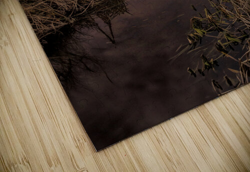 Huntington Beach Wetlands Norma Brandsberg Photography puzzle