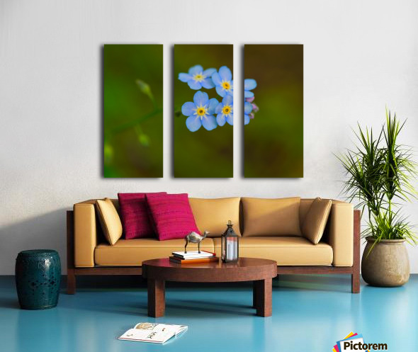 Field of Wild Flowers/' Rolled Canvas Art 18 x 24