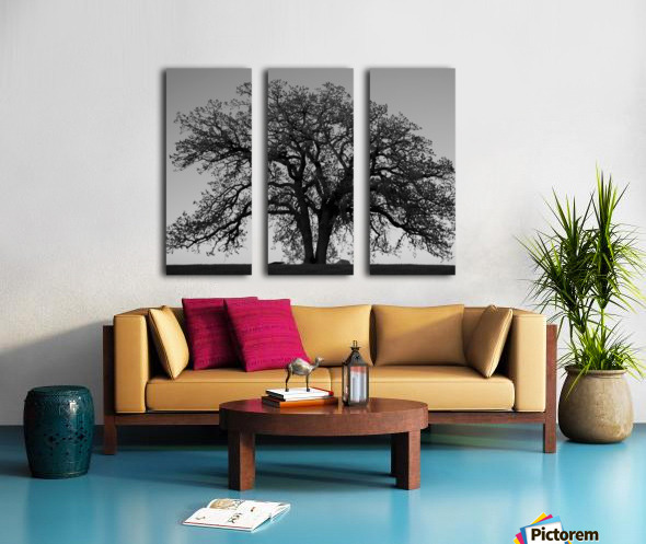 The Wishing Tree B W G Stevenson Canvas 45 X 36 Triptych Split Canvas 48 Inches Including E 3x 15x36