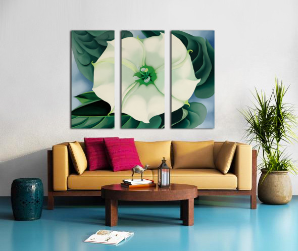 gensunflower ホワイトギズモ2株、OMG1株 OMG×White Gizmo ビカクシダ